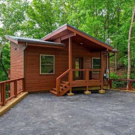 New Cozy Mountain Cabin Hot Tub Near Downtown Gatlinburg Luaran gambar