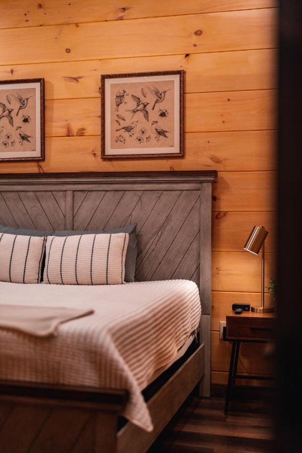 New Cozy Mountain Cabin Hot Tub Near Downtown Gatlinburg Luaran gambar
